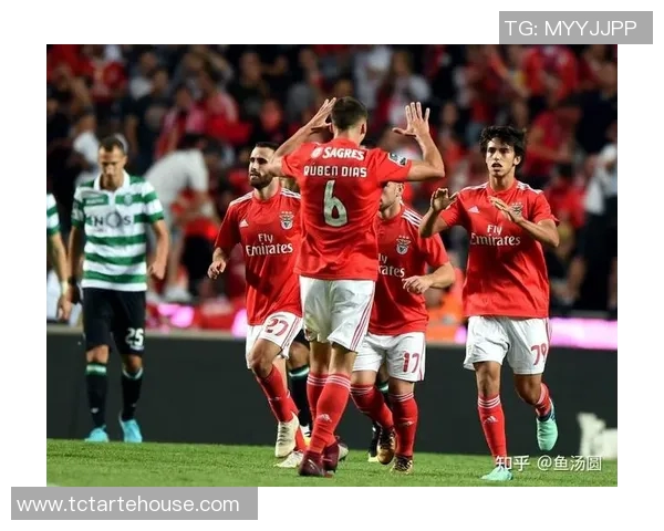 威科姆与哈德斯的对决分析及胜负预测全解析